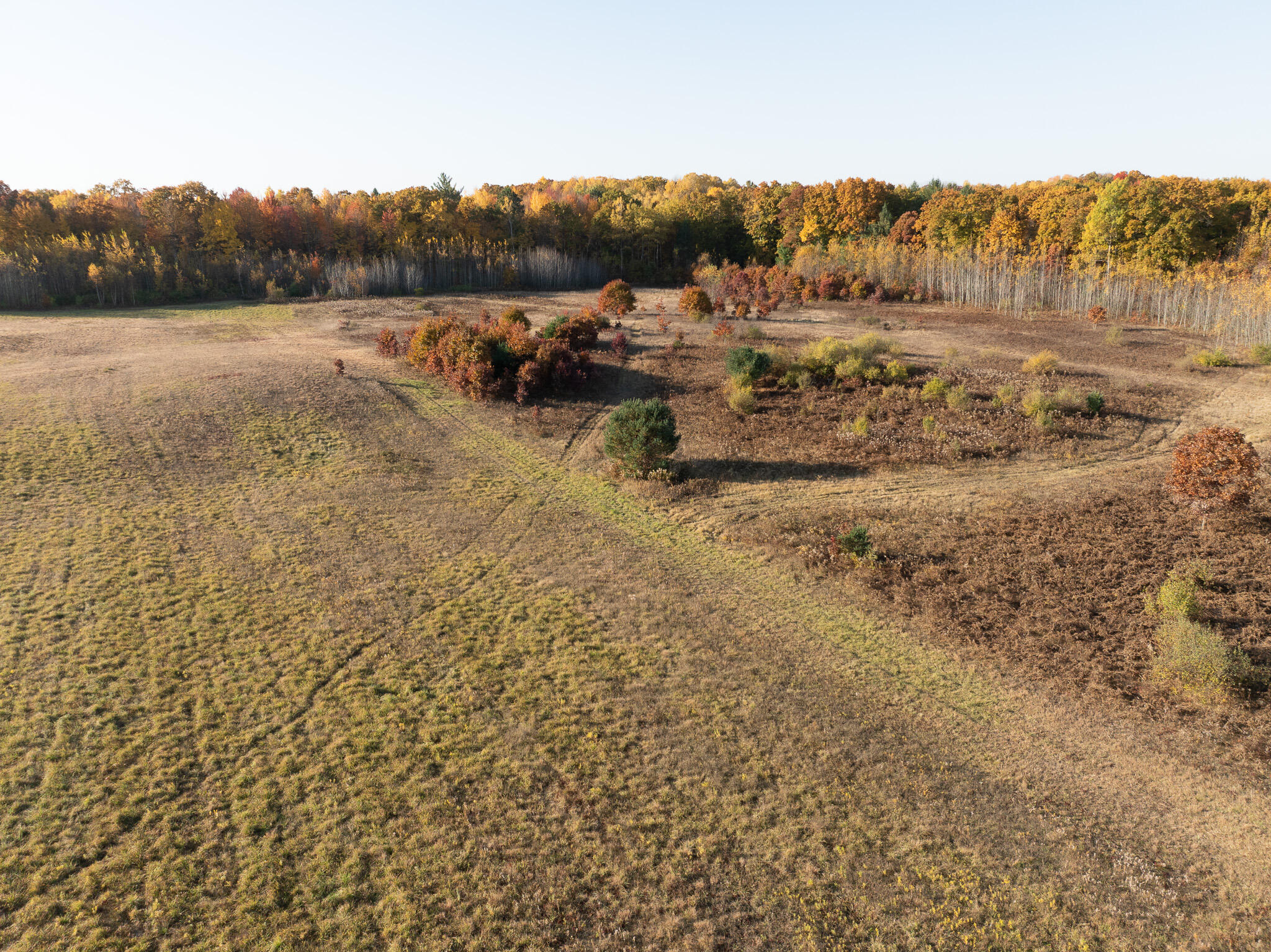 DJI_0551