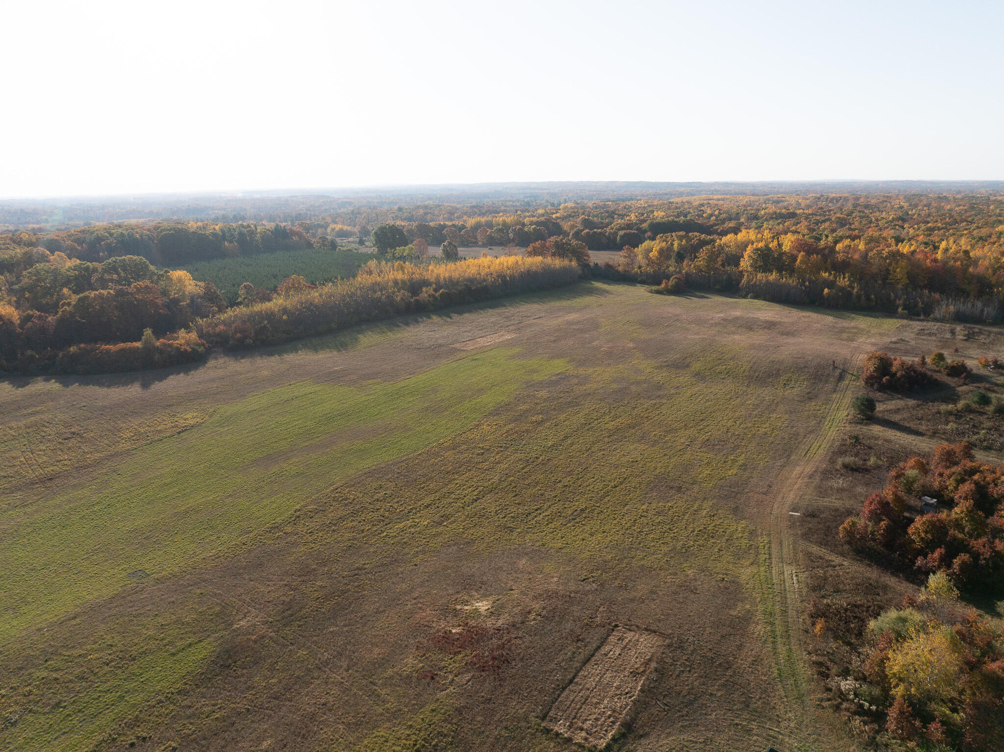 DJI_0528