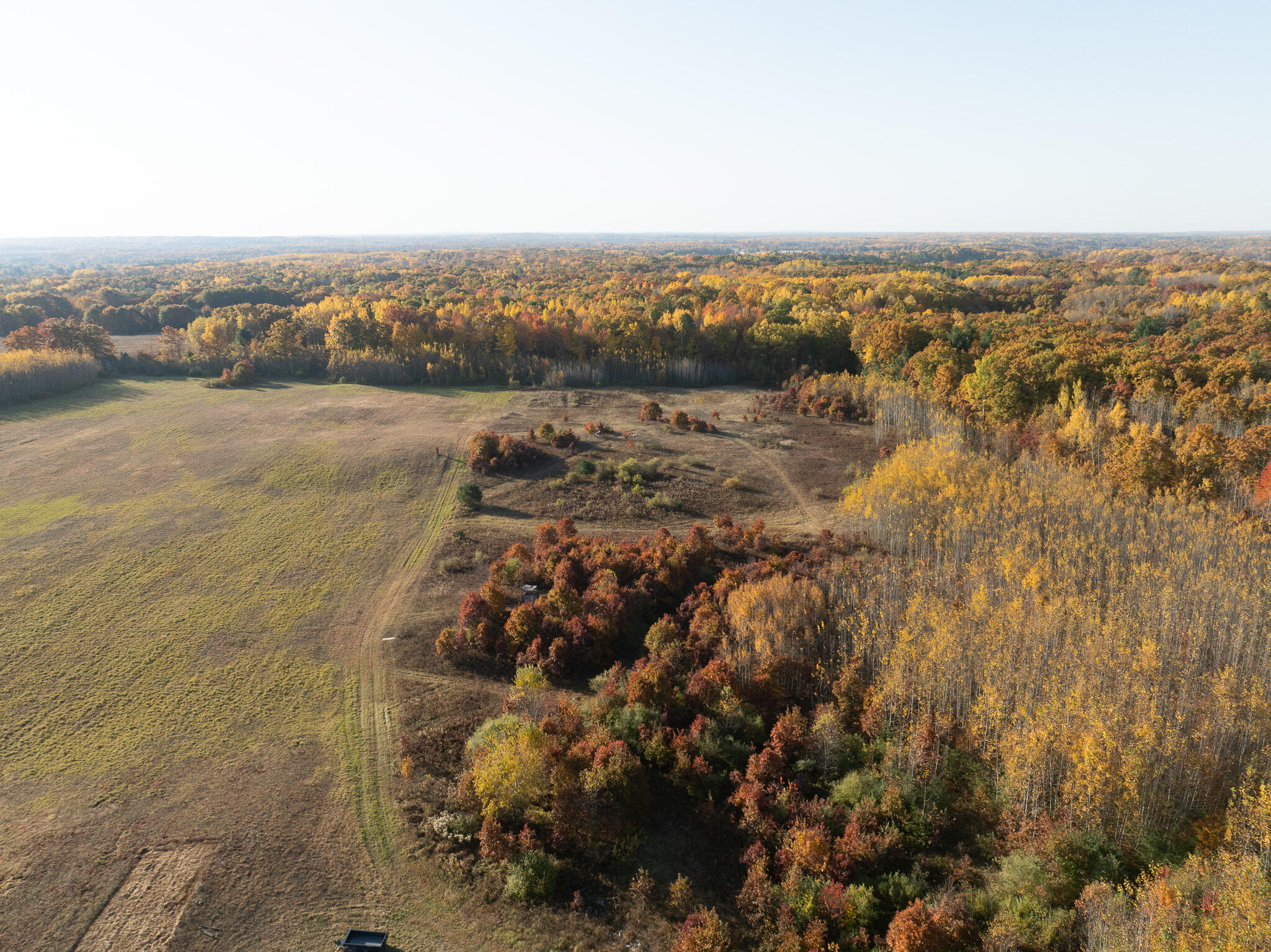 DJI_0530