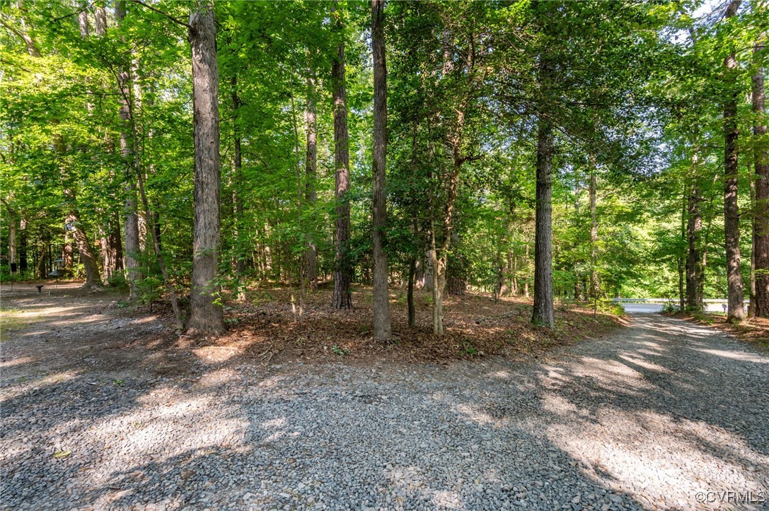 10310 Qualla Road Chesterfield, VA 23832 - Photo 19 of 23 Newly grated driveway and private front yard