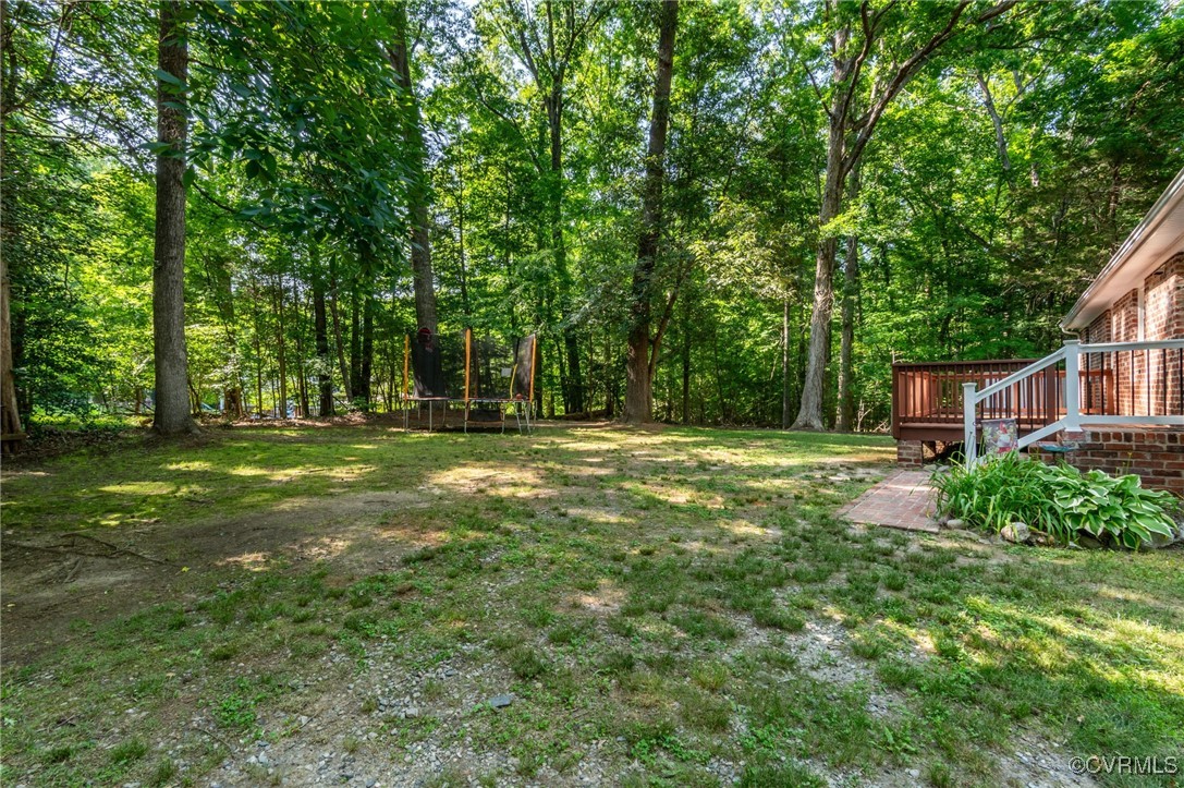 10310 Qualla Road Chesterfield, VA 23832 - Photo 21 of 23