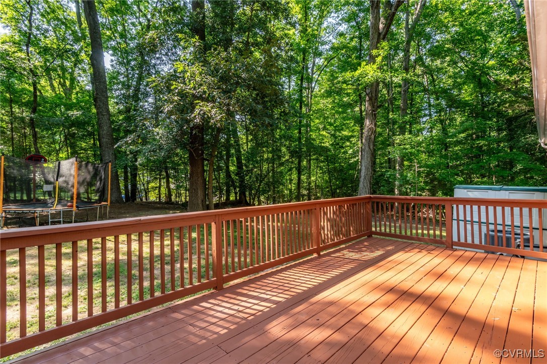10310 Qualla Road Chesterfield, VA 23832 - Photo 22 of 23 Newly Painted Deck