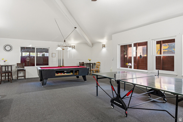 407 South Vasels Road, Unit 51 Brian Head, UT 84719 - Photo 45 of 46