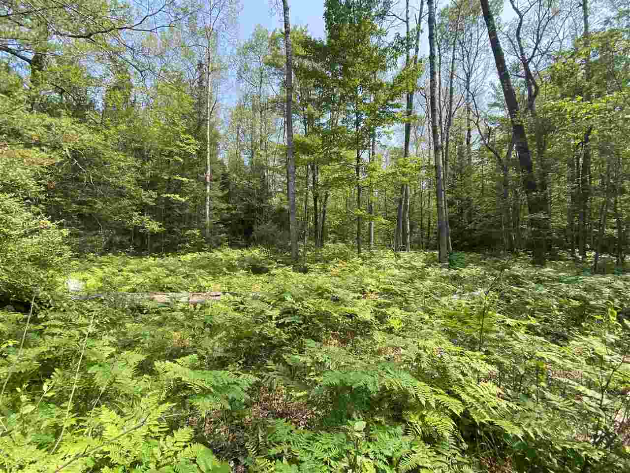 0 Briggs Road Omer, MI 48749 - Photo 8 of 45