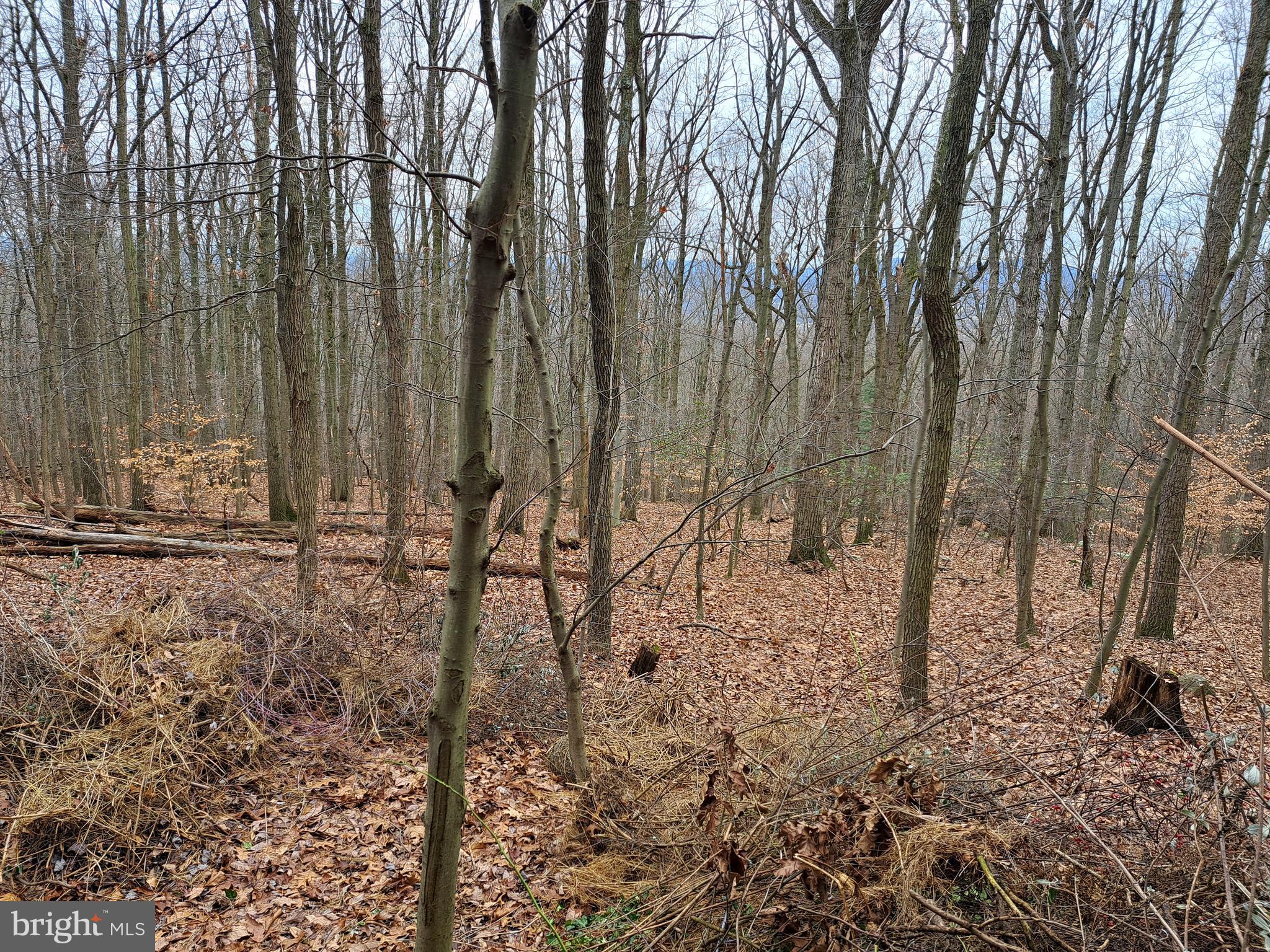 300 Kunkle's Mill Road Dover, PA 17315 - Photo 11 of 40