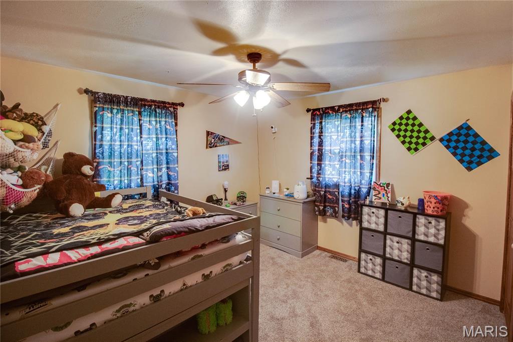 313 East Charles Street Medora, IL 62063 - Photo 26 of 34
