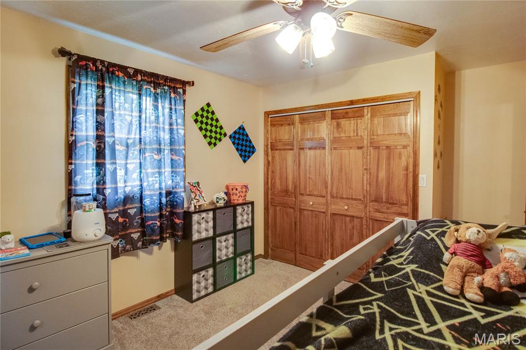 313 East Charles Street Medora, IL 62063 - Photo 27 of 34
