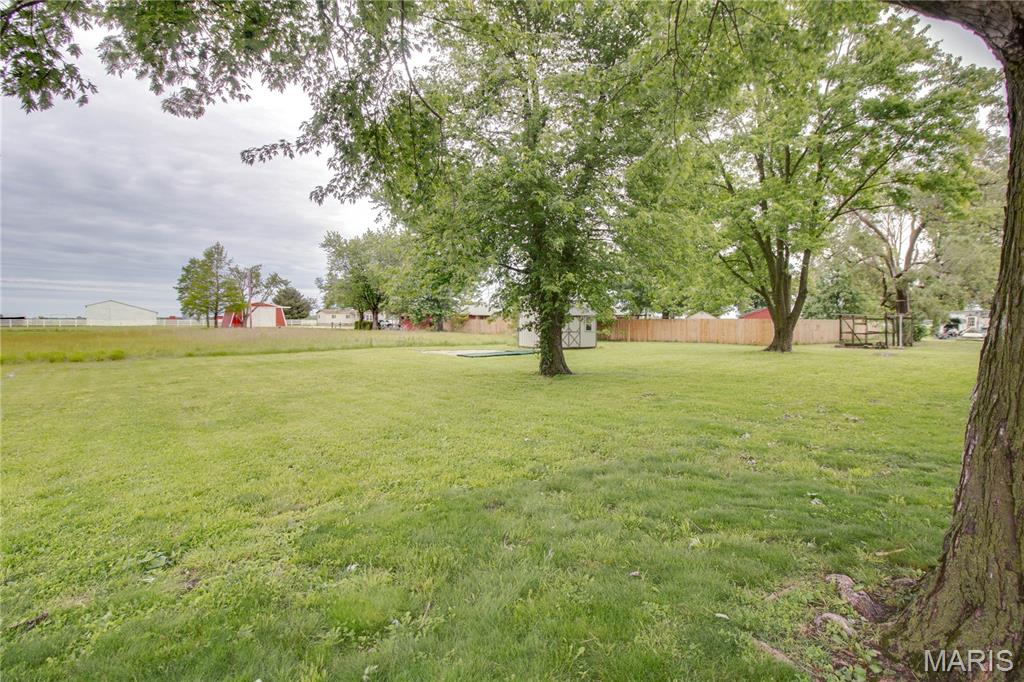 313 East Charles Street Medora, IL 62063 - Photo 33 of 34