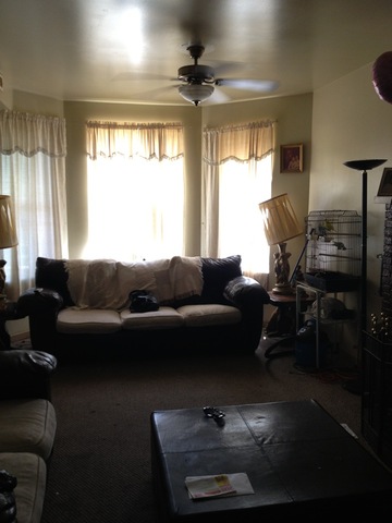 1842 South Drake Avenue Chicago, IL 60623 - Photo 17 of 25 a living room with furniture and a window
