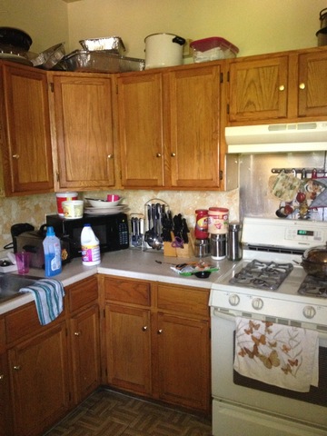 1842 South Drake Avenue Chicago, IL 60623 - Photo 24 of 25 a kitchen with stainless steel appliances granite countertop a sink stove and cabinets