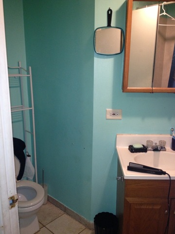 1842 South Drake Avenue Chicago, IL 60623 - Photo 7 of 25 a bathroom with a toilet and a sink