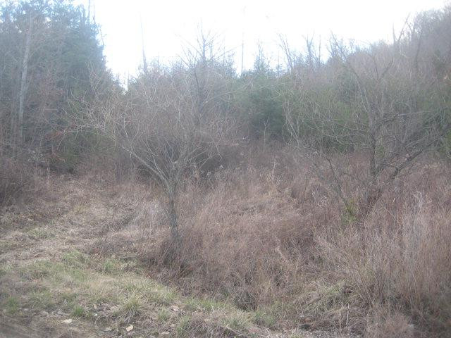 0 Round Mountain Road Irvine, KY 40336 - Photo 5 of 5 Listing Photo