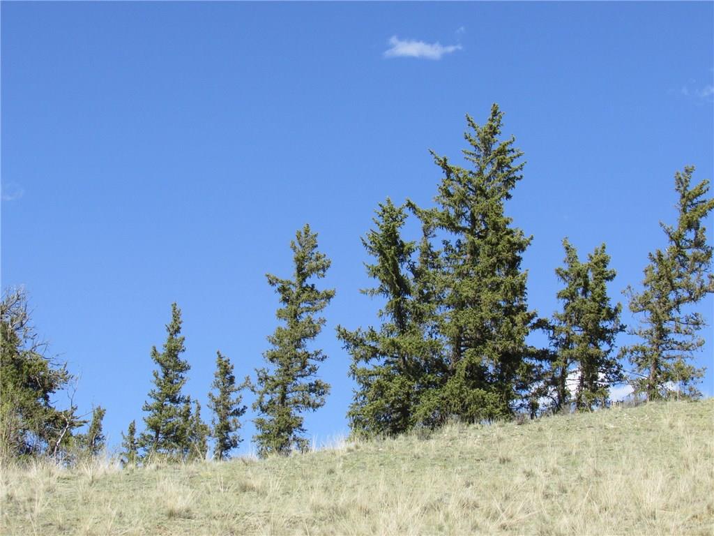 64 Carbine Road Como, CO 80456 - Photo 2 of 10 Gallery Image 2