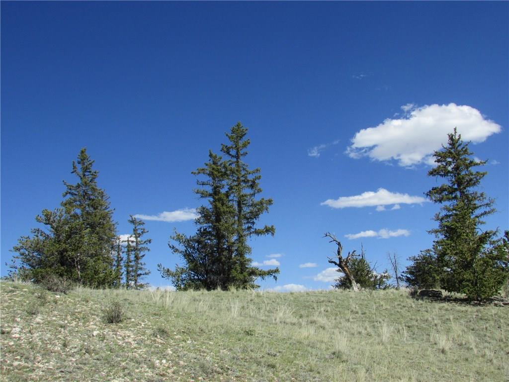 64 Carbine Road Como, CO 80456 - Photo 6 of 10 Gallery Image 6