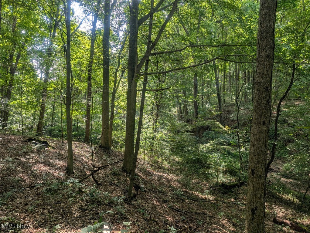 Toll Gate Road Northwest Somerset, OH 43783 - Photo 15 of 40 View of wooded area