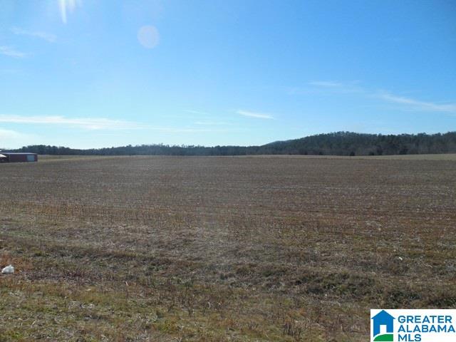 0 Curry Station Road, Unit 1 Munford, AL 36268 - Photo 7 of 14