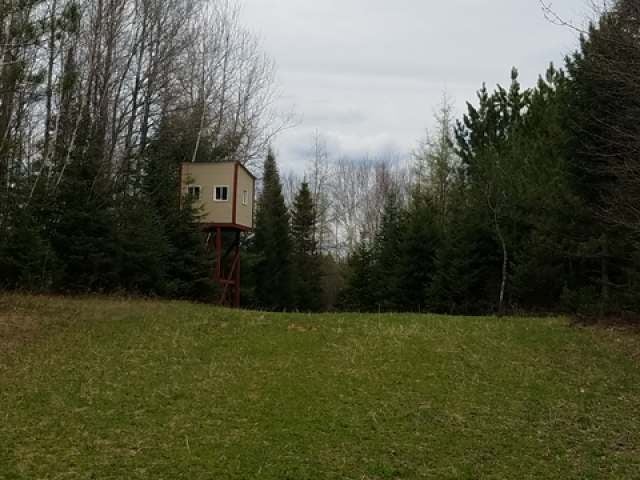 1126-1 Hunting Road Three Lakes, WI 54562 - Photo 6 of 16 Gallery Image 6