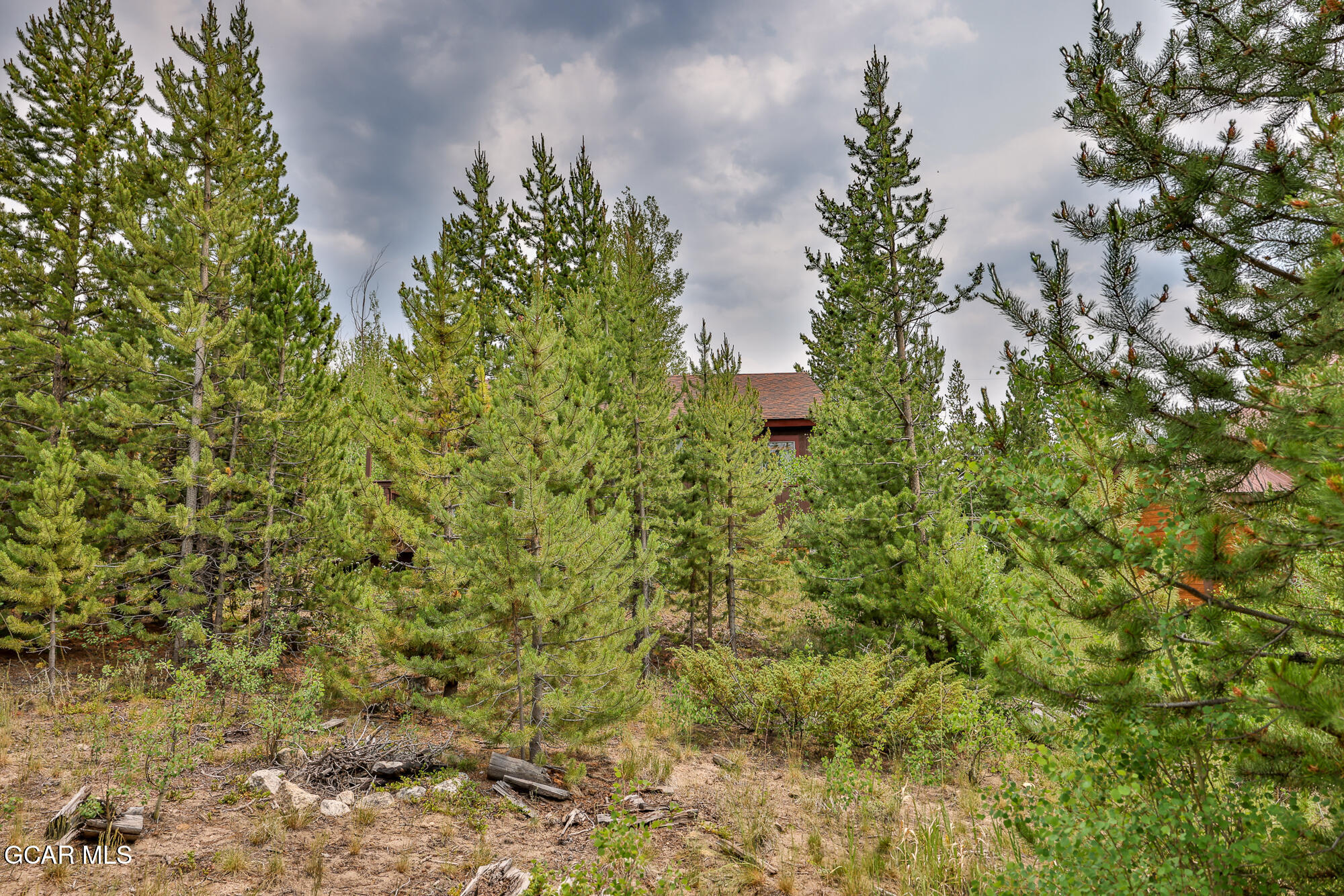 1239 Western Road Grand Lake, CO 80447 - Photo 23 of 50 1239WESTERN_SM-21
