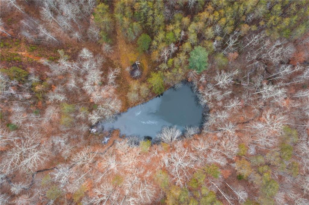 1140 Jackson Road Westfield, NC 27053 - Photo 19 of 30 Gallery Image 19