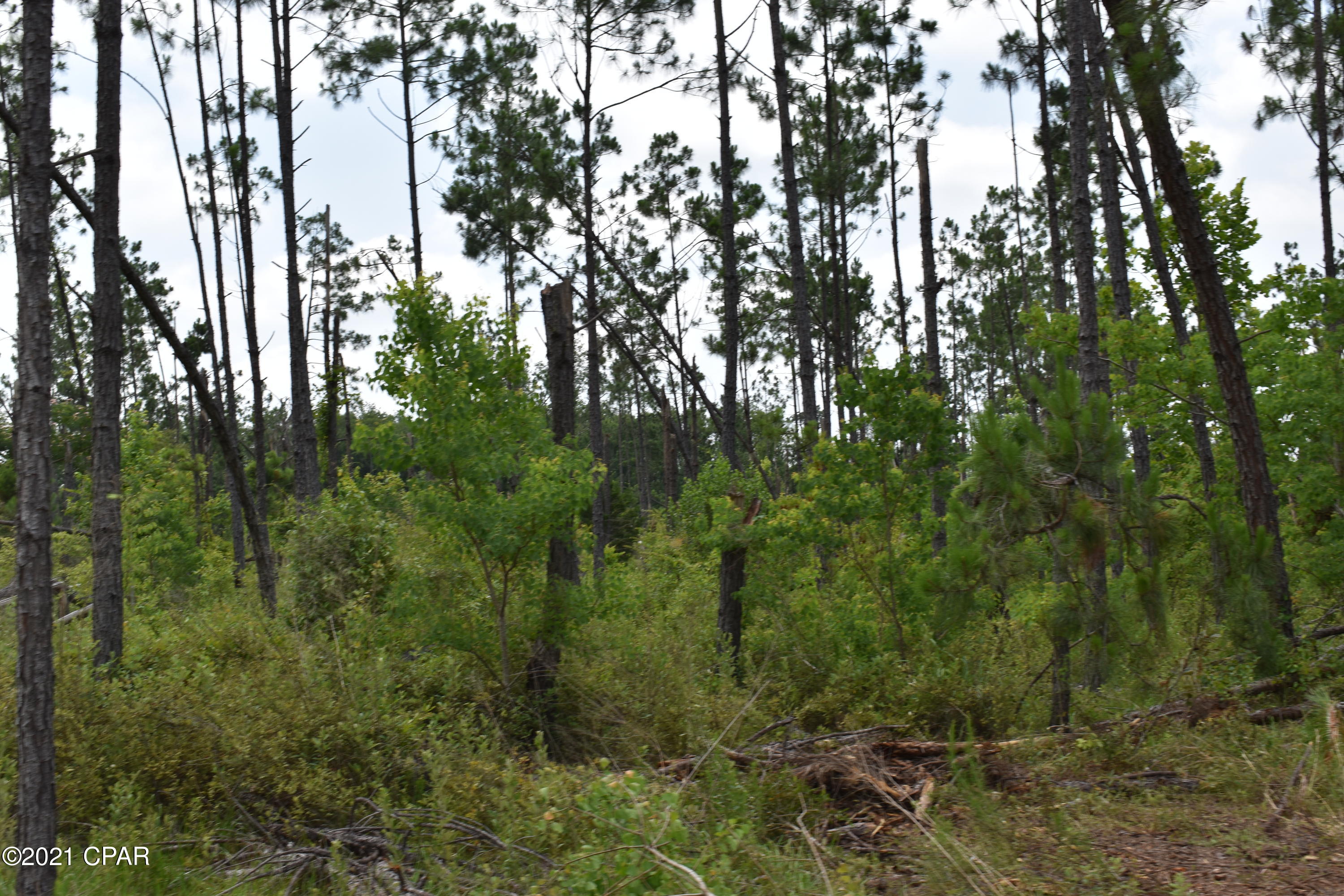 6809 Old Spanish Trail Grand Ridge, FL 32442 - Photo 15 of 24 Gallery Image 15