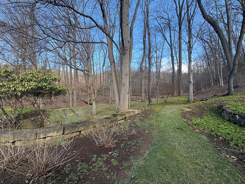 4400 West Pike Road Indiana, PA 15701 - Photo 35 of 37 a view of backyard with green space