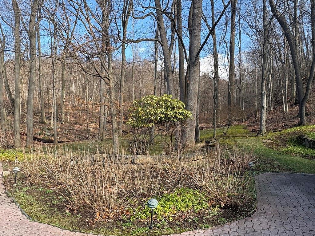 4400 West Pike Road Indiana, PA 15701 - Photo 37 of 37 a view of backyard with green space