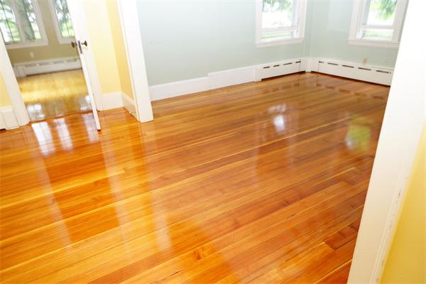 216 Messinger Street Canton, MA 02021 - Photo 4 of 30 Gallery Image 4