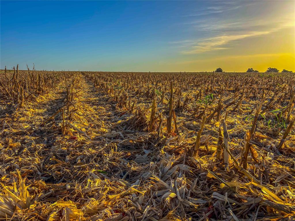 N/a Cathey Creek Road Holland, TX 76534 - Photo 31 of 33 a view of an ocean
