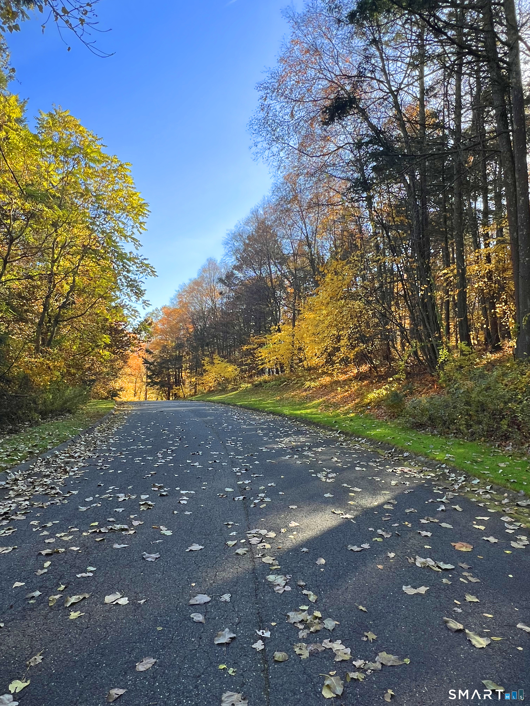 40 Long River Road Sherman, CT 06784 - Photo 21 of 24 a view of road with large trees