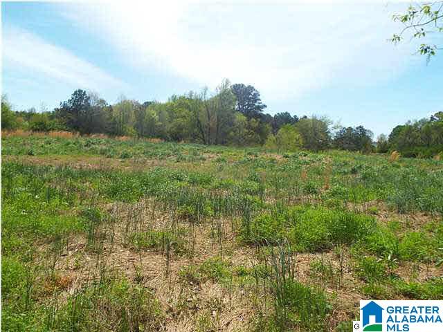 306 Hamm Road Blountsville, AL 35031 - Photo 11 of 28