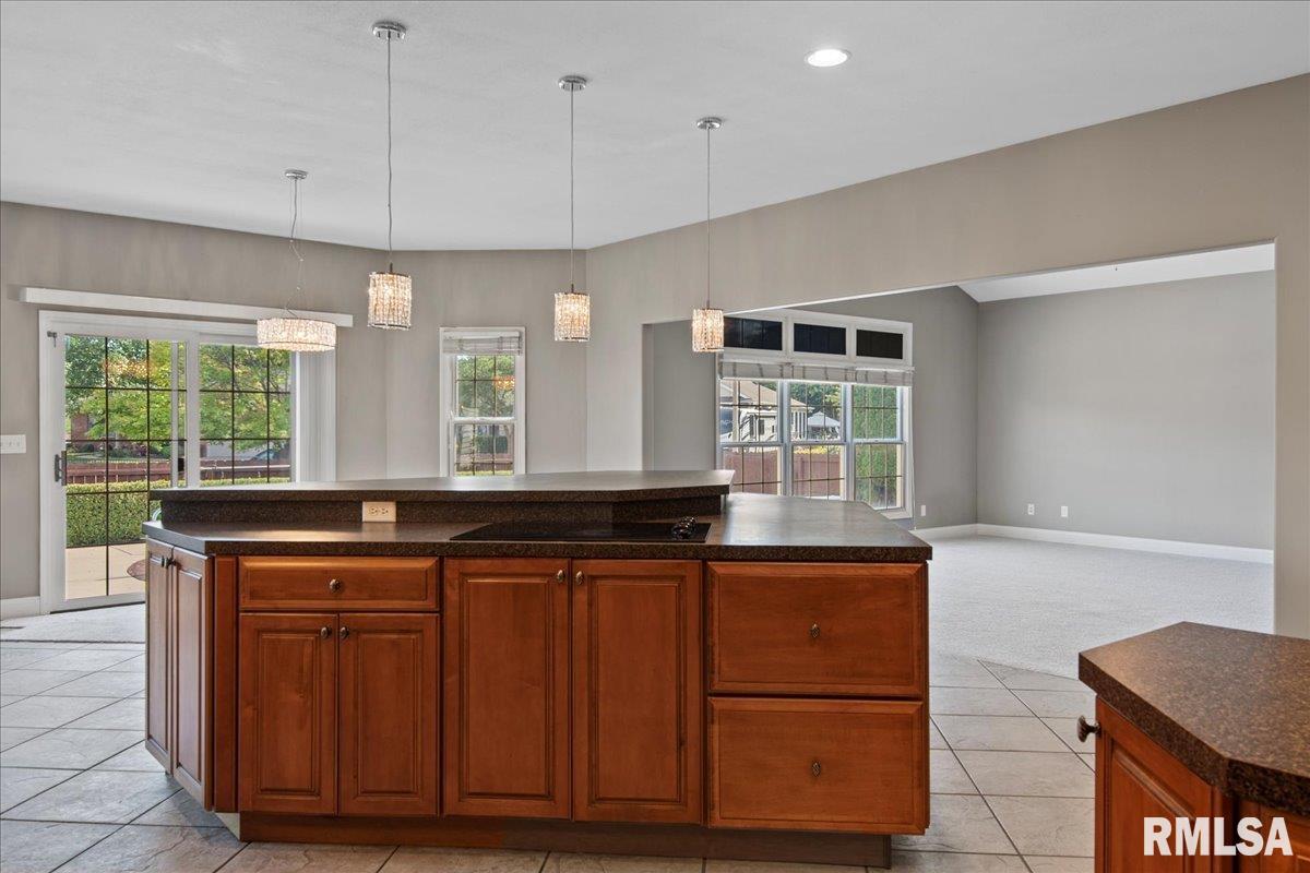 3516 Tamarak Drive Springfield, IL 62712 - Photo 9 of 65 Gallery Image 9