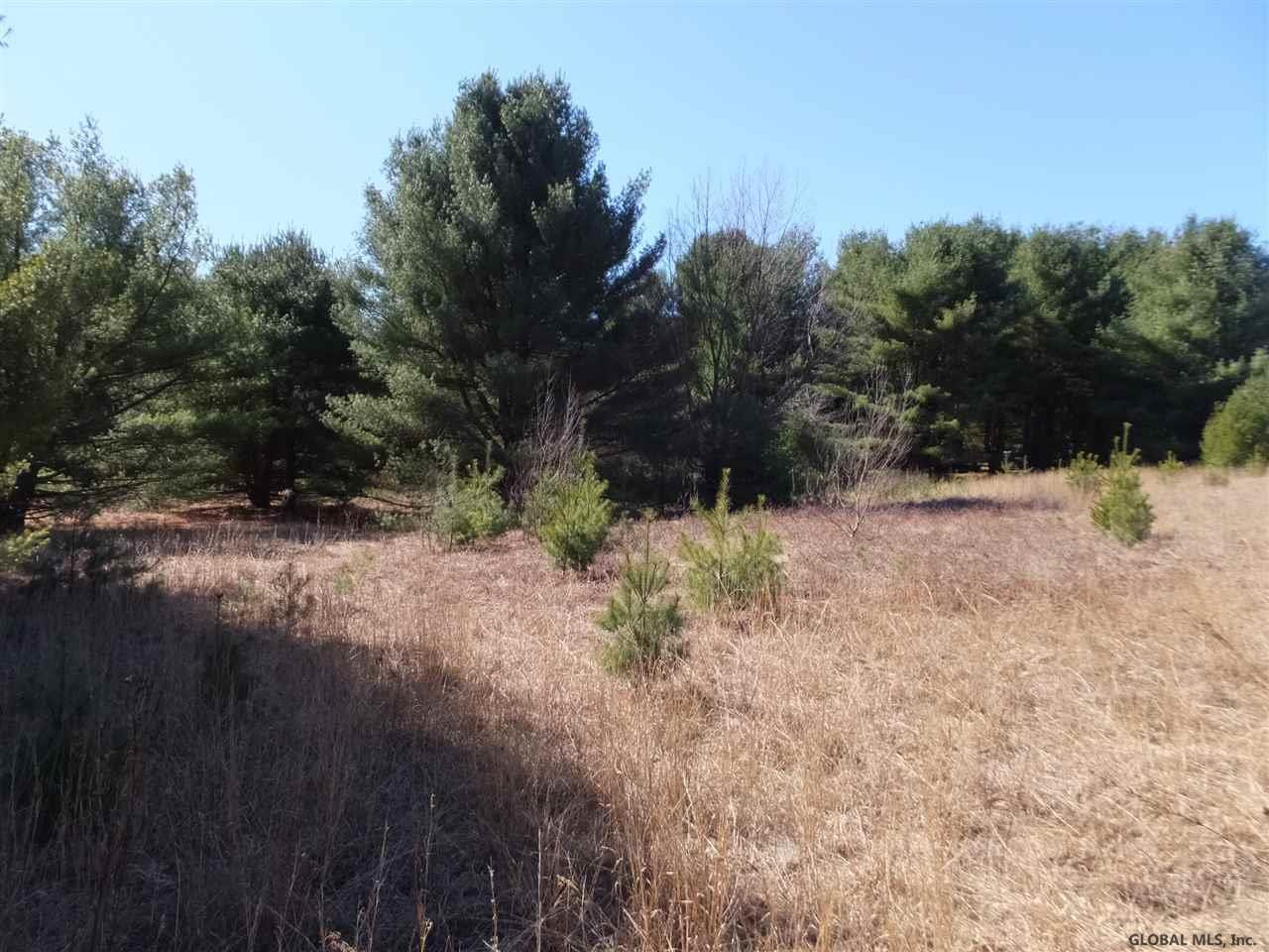 Union Mills Road Broadalbin, NY 12025 - Photo 4 of 9 Photo 4