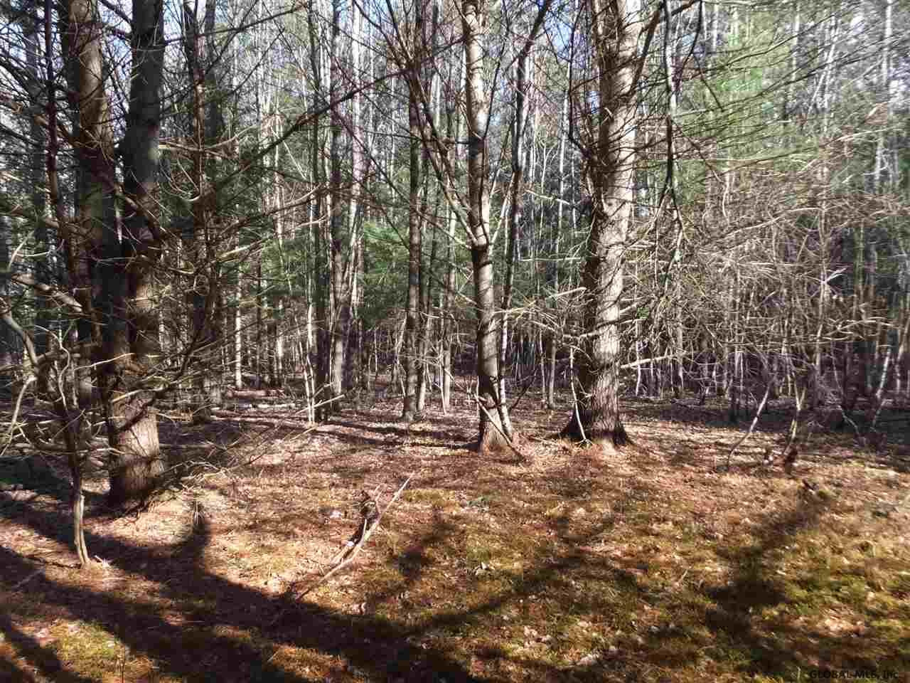 Union Mills Road Broadalbin, NY 12025 - Photo 9 of 9 Photo 9
