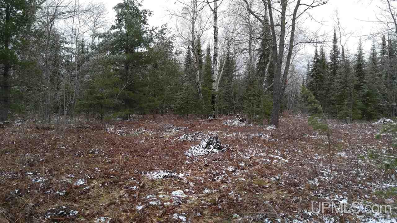 73-acres Co Rd 480 Marquette, MI 49855 - Photo 10 of 18