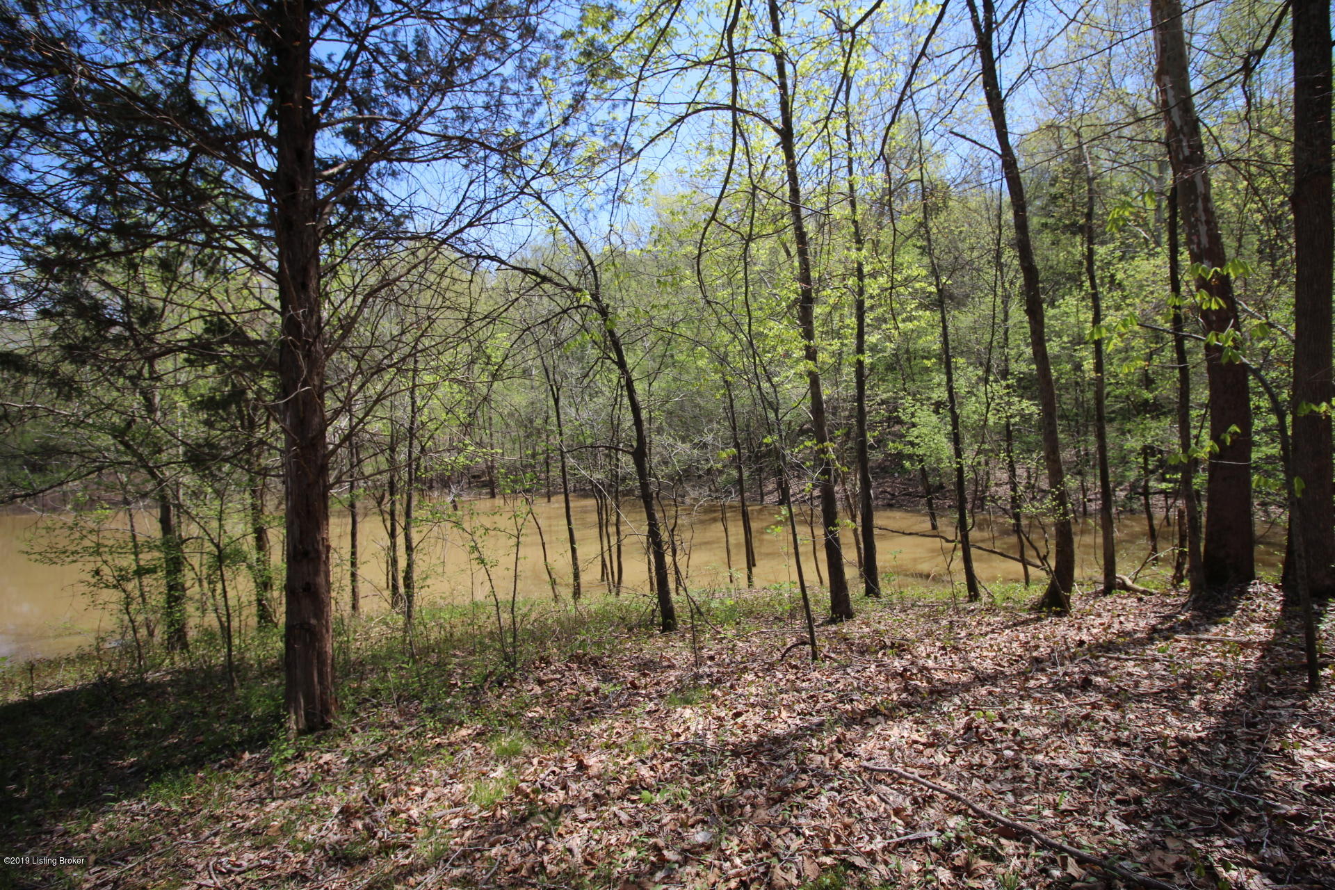 0 Lakeshore Road Leitchfield, KY 42754 - Photo 11 of 19 IMG_0101