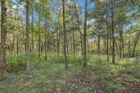 $675,000 | 4705 Wildberry Lane, Chapel Hill, TN 37034