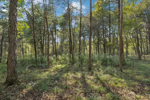 $675,000 | 4705 Wildberry Lane, Chapel Hill, TN 37034