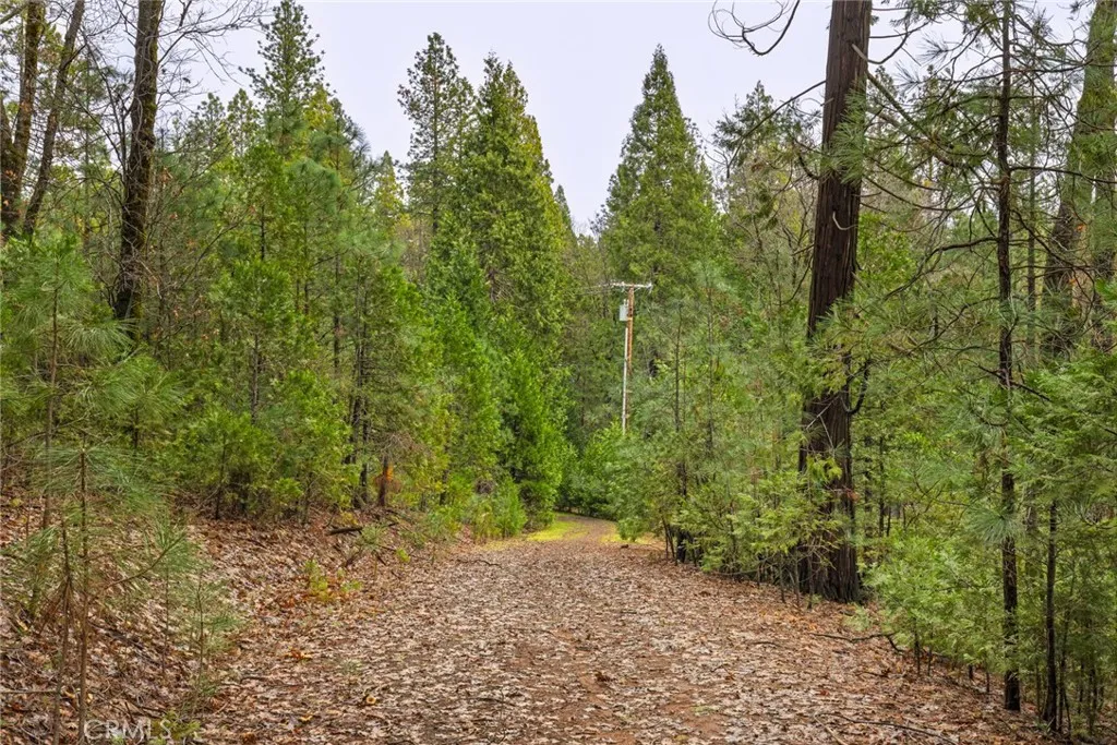 0 Christina Drive Magalia, CA 95954 - Photo 8 of 18 a view of a forest with trees