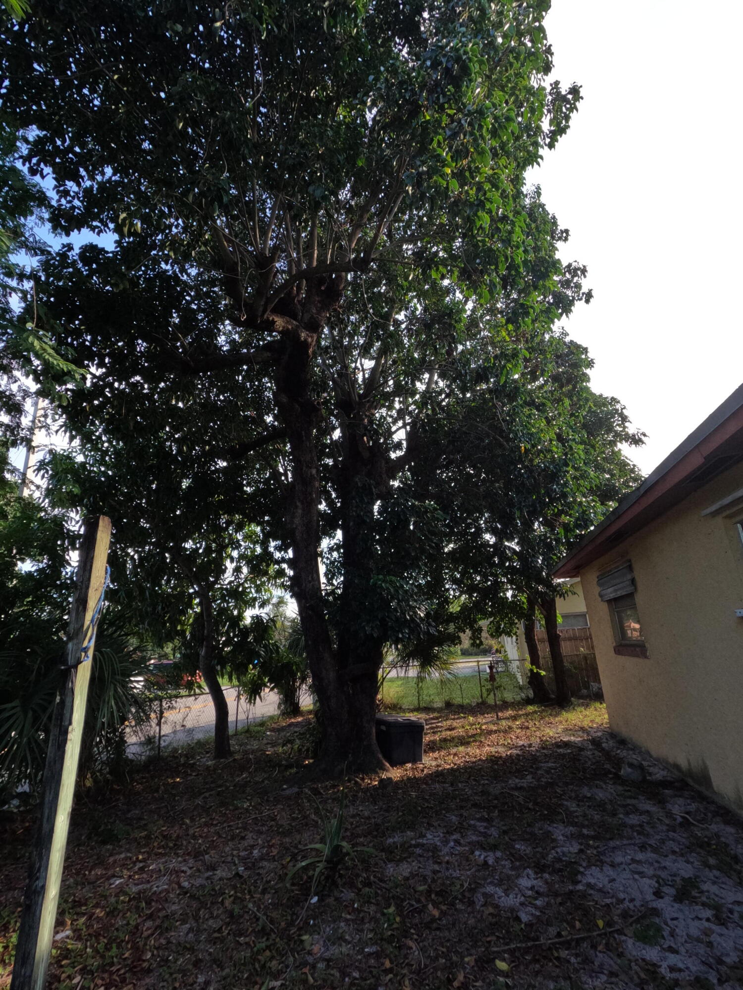 1012 Alto Road Lantana, FL 33462 - Photo 20 of 67 GOPR0878