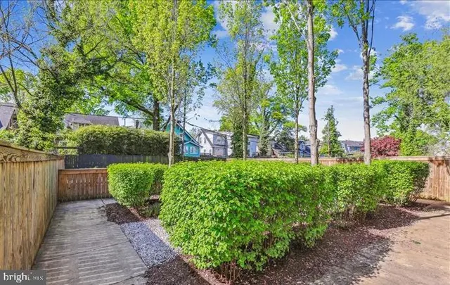 a view of a garden with pathway