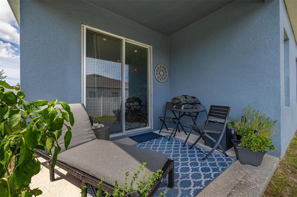 367 August Fern Loop Mount Dora, FL 32757 - Photo 41 of 90