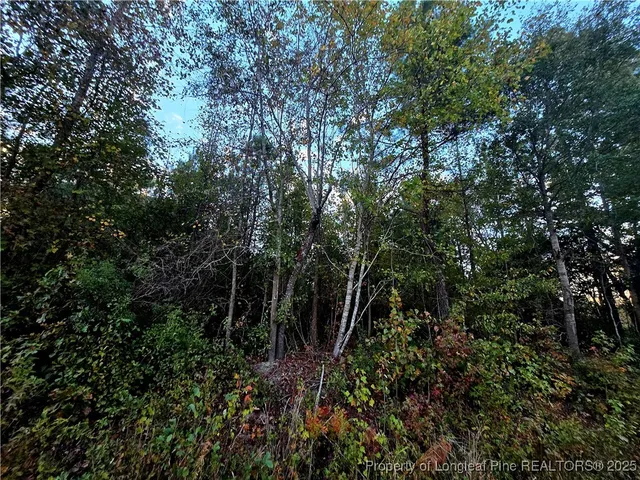 $85,000 | Walker Road, Linden, NC 28356