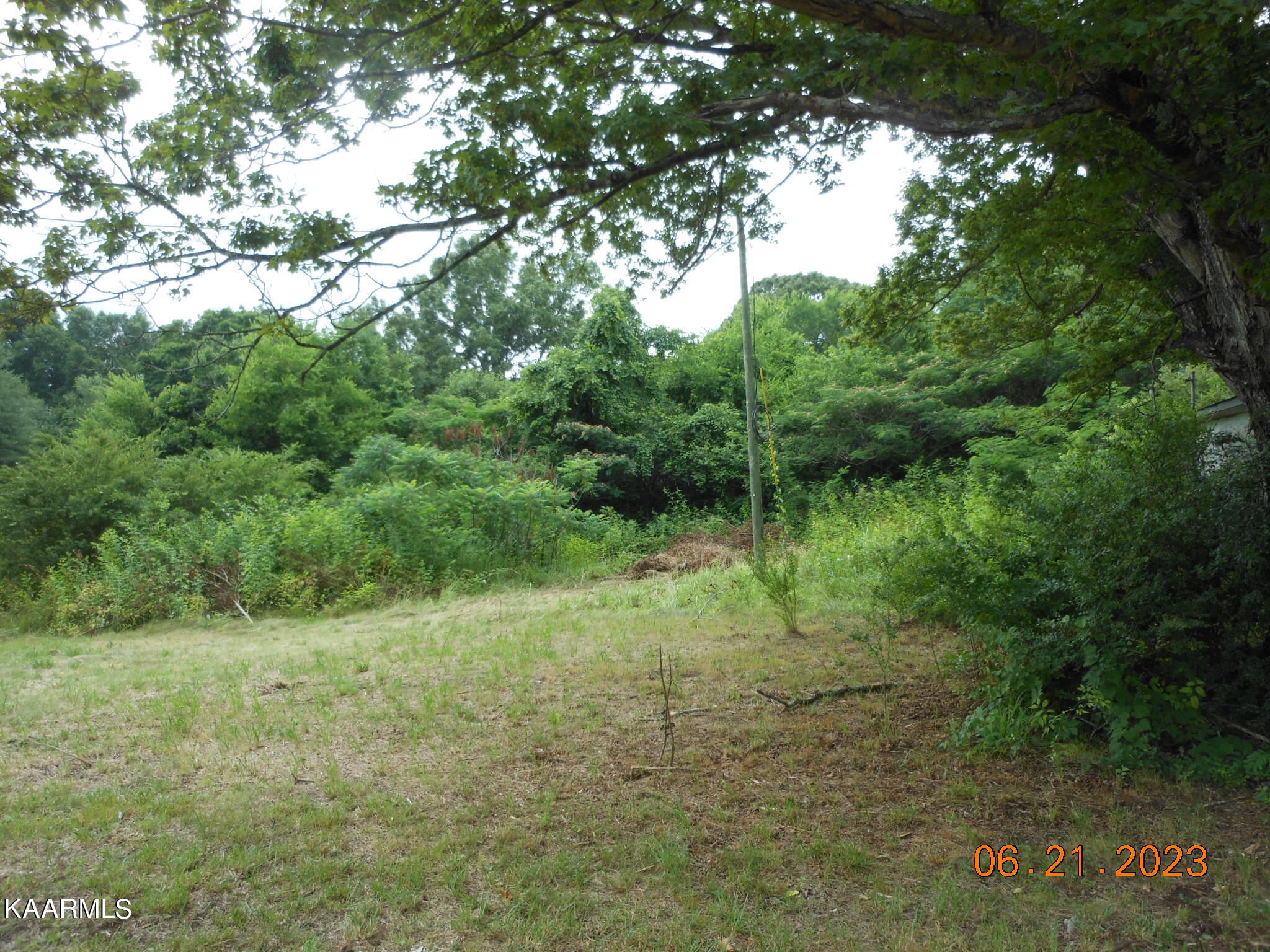 5921 Morganton Road Greenback, TN 37742 - Photo 4 of 6 Morganton Rd 007