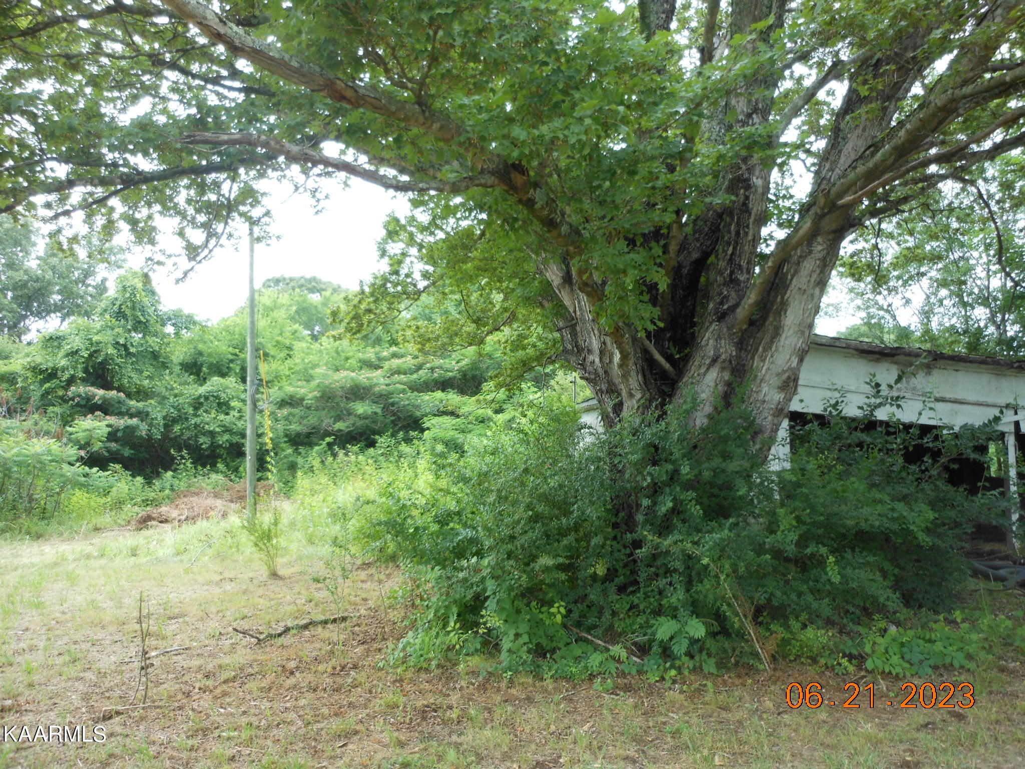 5921 Morganton Road Greenback, TN 37742 - Photo 5 of 6 Morganton Rd 008