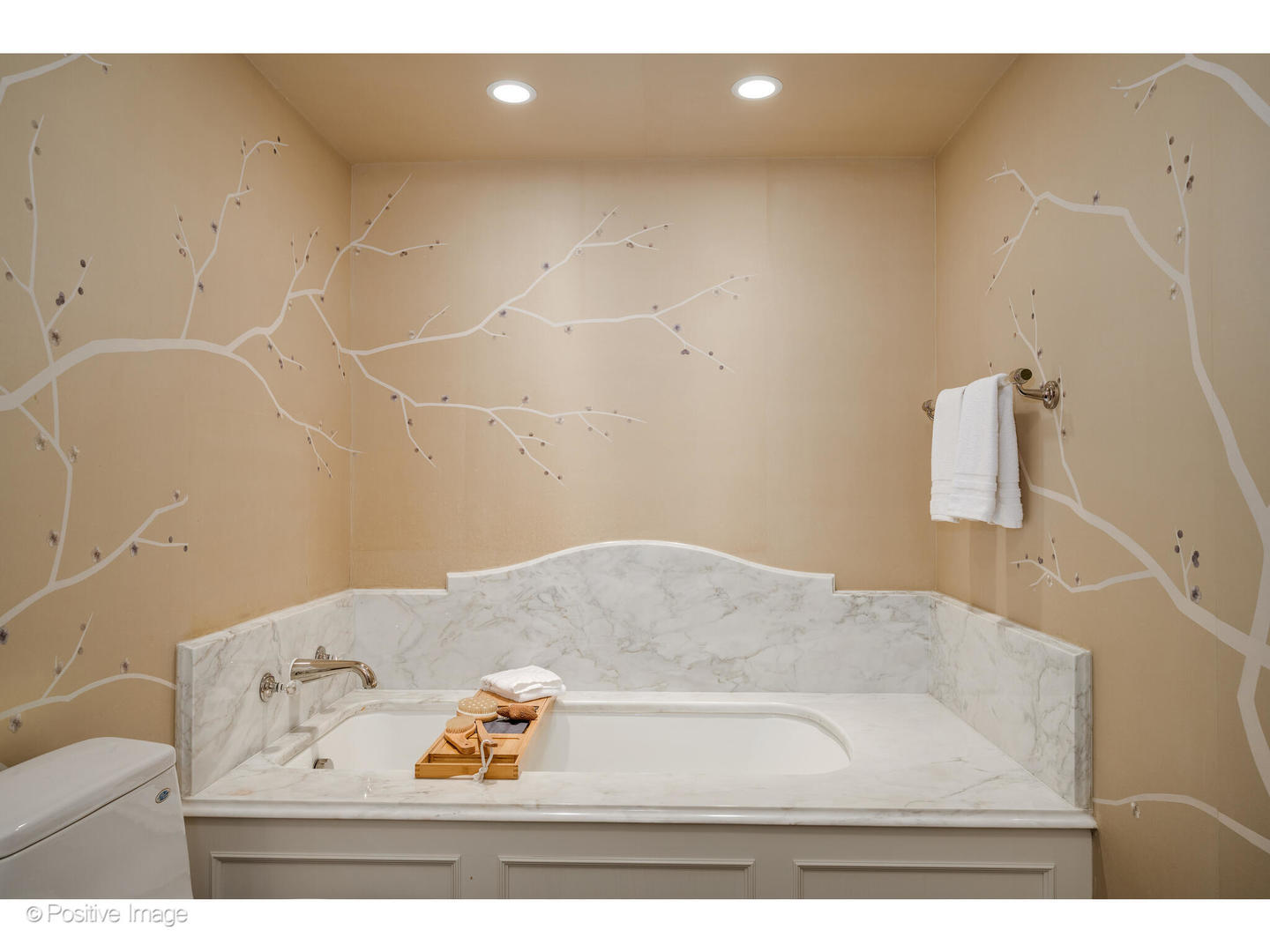 161 East Chicago Avenue, Unit 54A Chicago, IL 60611 - Photo 34 of 41 a view of bath room