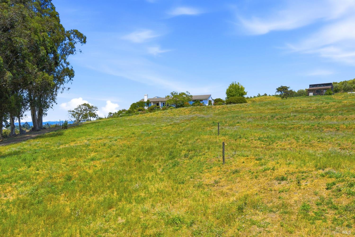 3223 Canfield Road Sebastopol, CA 95472 - Photo 58 of 58 View of Home and Garden House