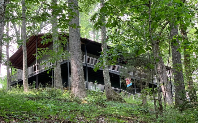 Main View