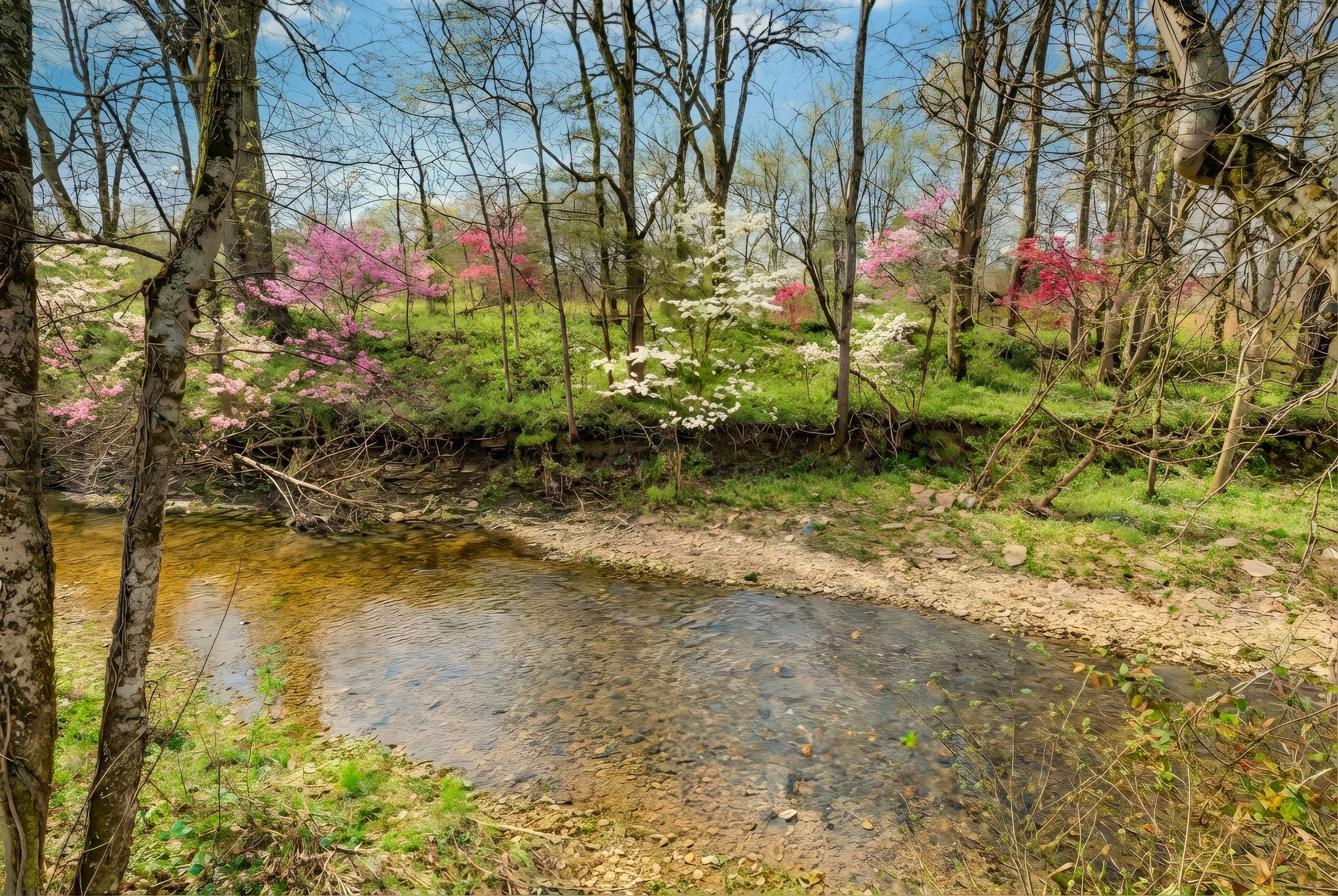 238 Hill Creek Road Woodbury, TN 37190 - Photo 34 of 40