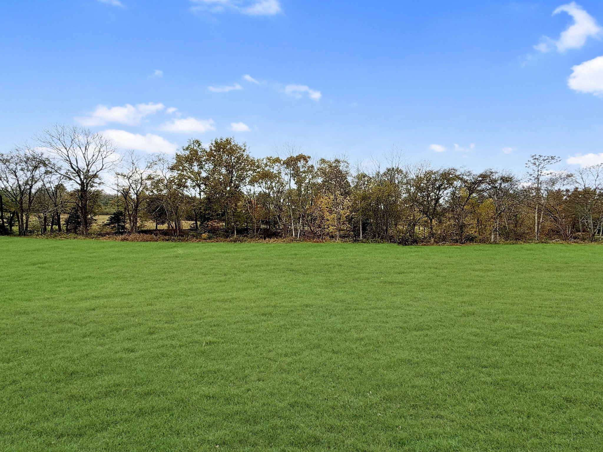 238 Hill Creek Road Woodbury, TN 37190 - Photo 38 of 40 a view of yard with green space