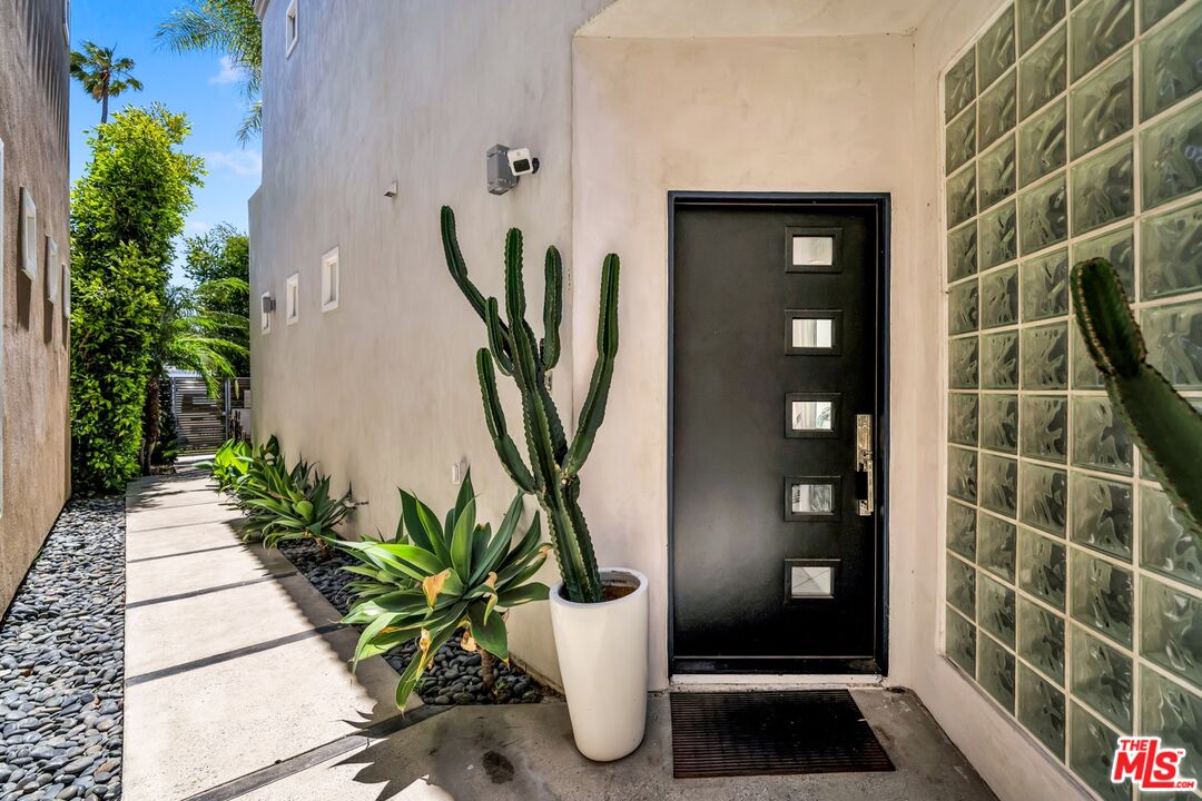 679 Washington Boulevard Marina del Rey, CA 90292 - Photo 14 of 37 a view of a potted plant in front of a door